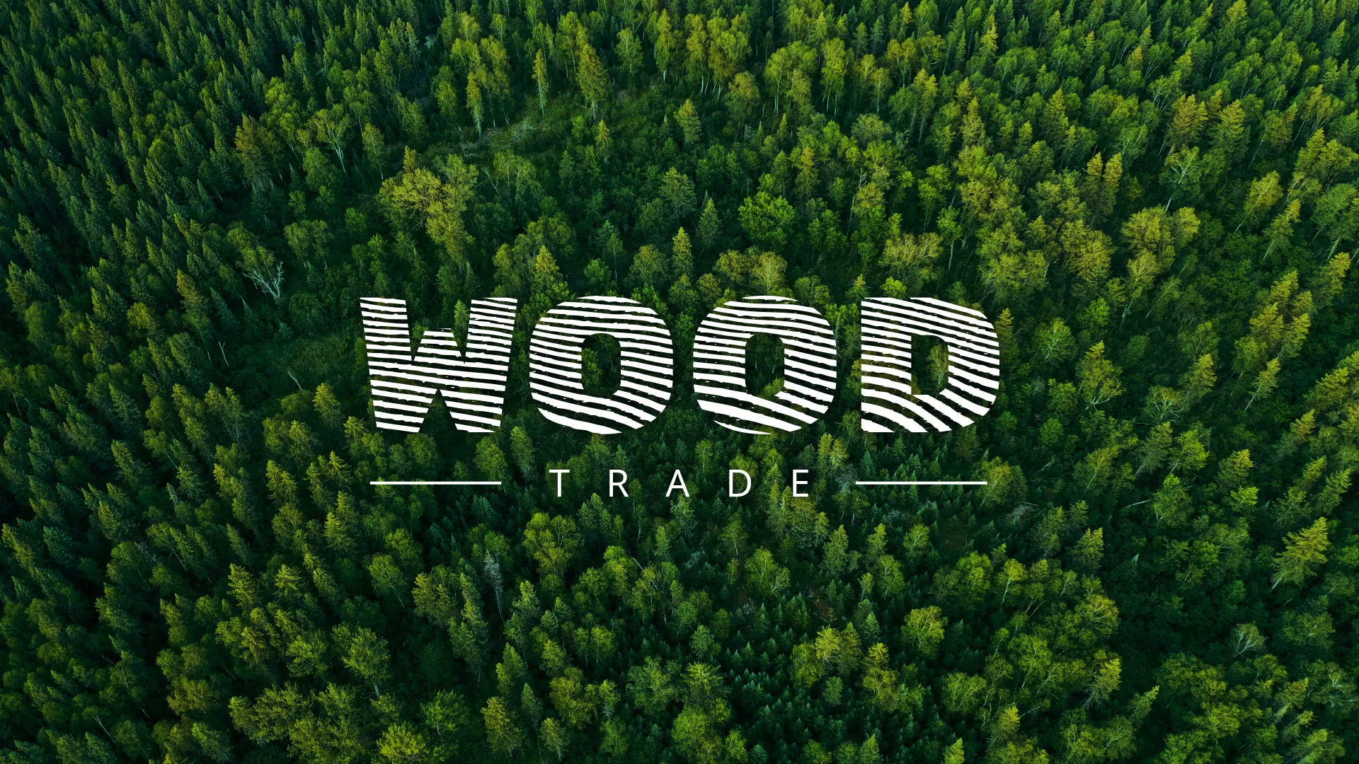 Разработка интернет-магазина компании «Wood Trade» в Домодедово